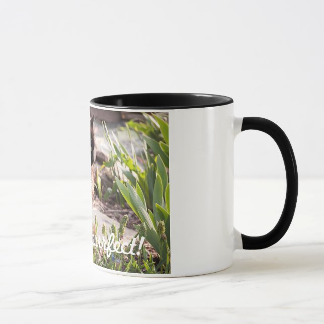 KATZEN SIND PURFFECT KAFFEE-TASSE TASSE (Rechts)