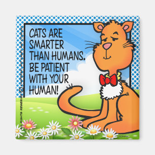 Katzen sind schlauer magnet
