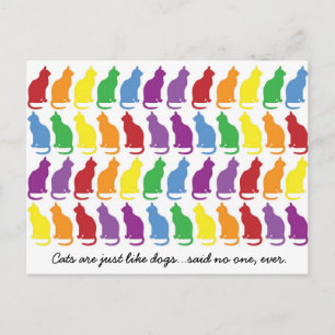 Katzen sind wie Hunde Postkarte
