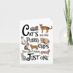Katzen sind wie Kartoffelchips, die man nicht nur Karte