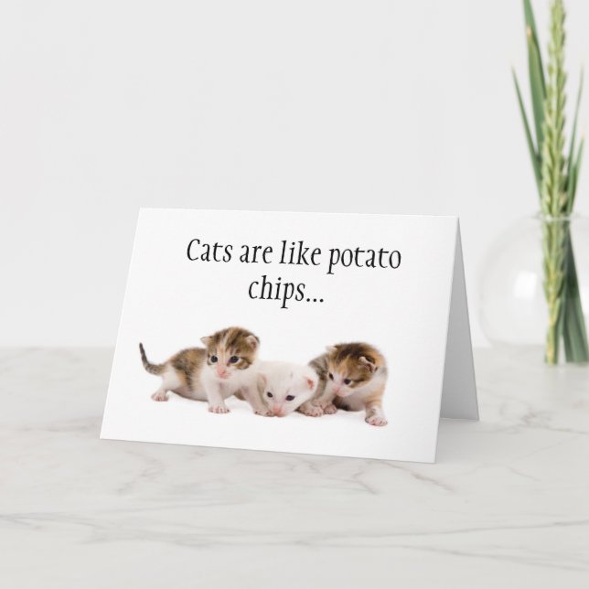 Katzen sind wie Kartoffelchips Funny Birthday Card Karte (Vorderseite)
