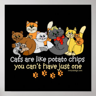 Katzen sind wie Kartoffelchips Poster