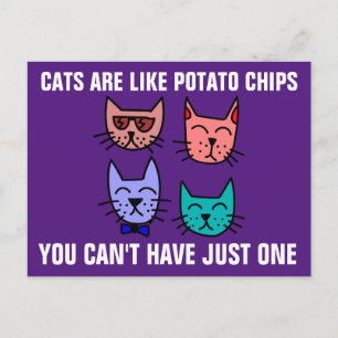 KATZEN SIND WIE KARTOFFELN, DIE MAN NICHT NUR EINE POSTKARTE