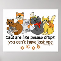 Katzen sind wie Potato Chips Sprichwort