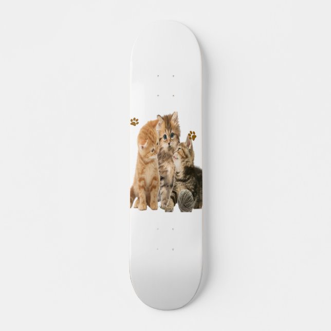 Katzen Skateboard (Vorne)