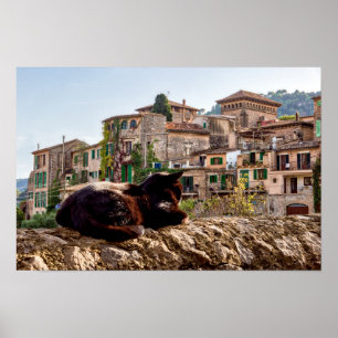 Katzen sonnen sich an einer Wand - Valldemossa, Ma Poster