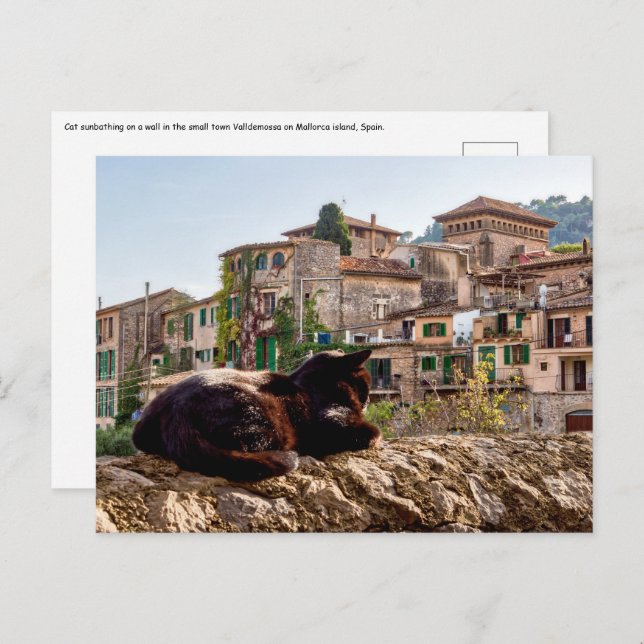 Katzen sonnen sich an einer Wand - Valldemossa, Ma Postkarte (Vorne/Hinten)
