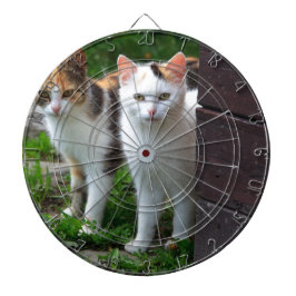Katzen spielen dartscheibe