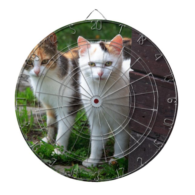 Katzen spielen dartscheibe (vorne)