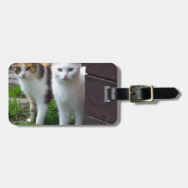 Katzen spielen gepäckanhänger