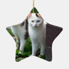 Katzen spielen keramik ornament