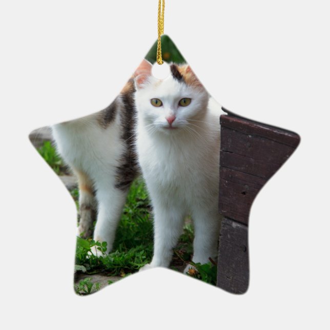 Katzen spielen keramik ornament (Vorne)