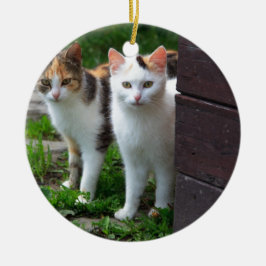 Katzen spielen keramikornament