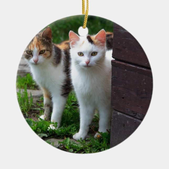 Katzen spielen keramikornament (Vorne)