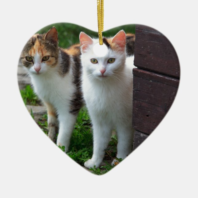 Katzen spielen keramikornament (Vorne)