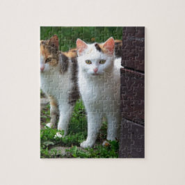 Katzen spielen puzzle