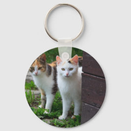 Katzen spielen schlüsselanhänger