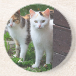 Katzen spielen untersetzer