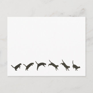 Katzen springen postkarte