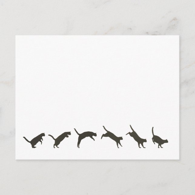 Katzen springen postkarte (Vorderseite)