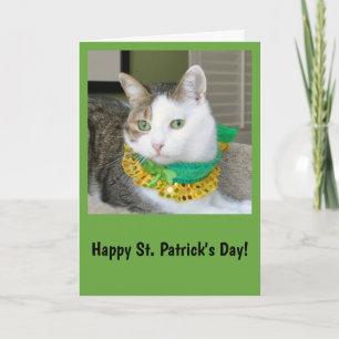 Katzen-St Patrick Tageskarte Karte