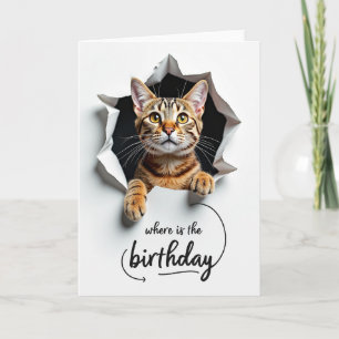 Katzen-Stern-Peek-Geburtstagskarte Karte