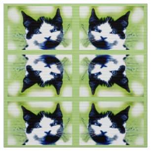 Katzen Stoff