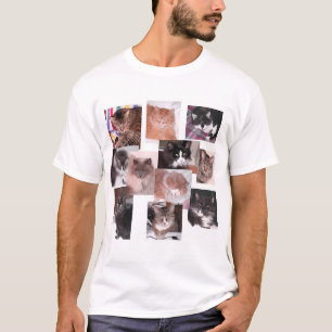 Katzen T-Shirt