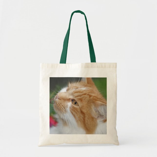 Katzen-Taschen-Tasche Tragetasche (Vorne)