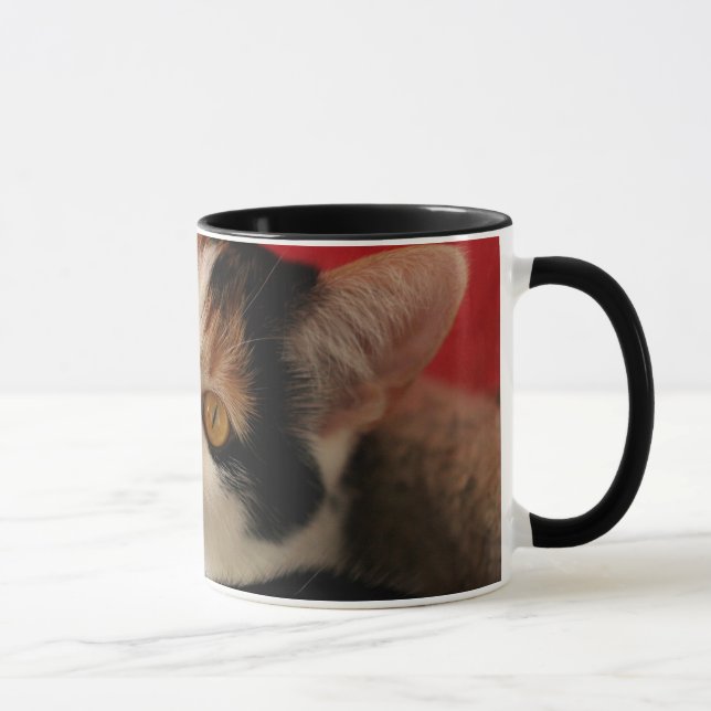 Katzen-Tasse - beste die Katzen-Mama der Welt Tasse (Rechts)