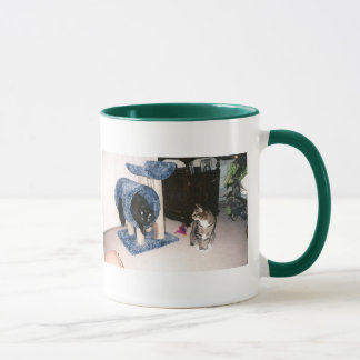 Katzen-Tasse Tasse