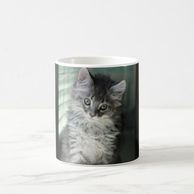 Katzen-Tasse Tasse (Mittel)