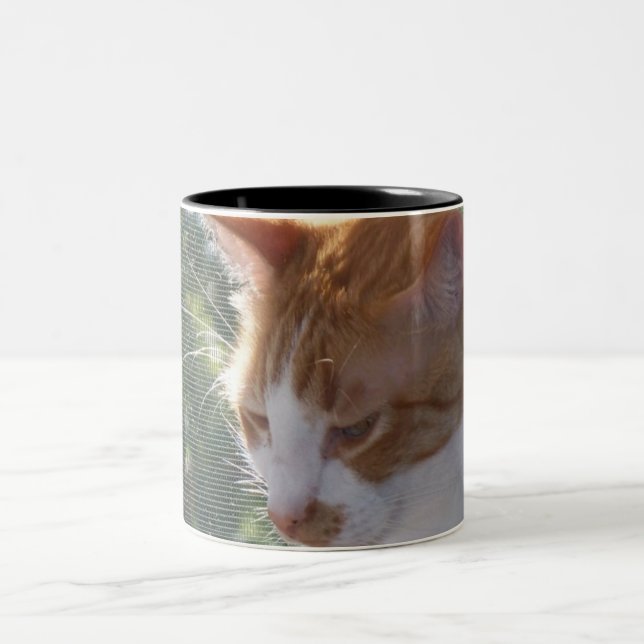 Katzen-Tasse Zweifarbige Tasse (Mittel)