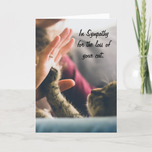 Katzen-Tatze Hoch-fünf Karte