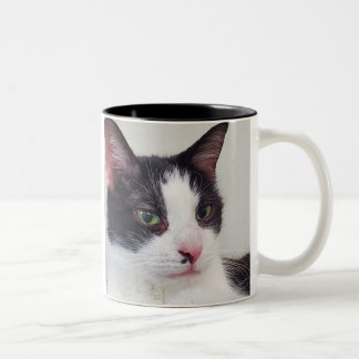 Katzen, Tee und ein gutes Buch Zweifarbige Tasse