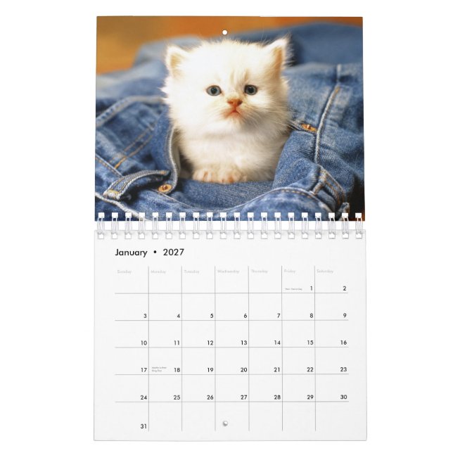 Katzen tragen 2012 ein kalender (Jan 2027)