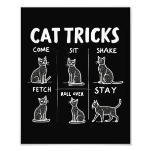 Katzen-Tricks: Perfekt lustige Katzenspaß Fotodruck