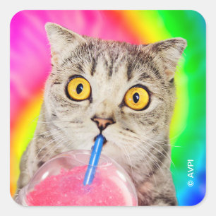Katzen trinken Slushie Quadratischer Aufkleber