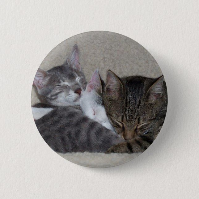 Katzen-Trio-Knopf Button (Vorderseite)