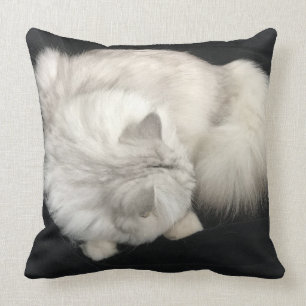 Katzen-Umarmungs-Kissen Kissen