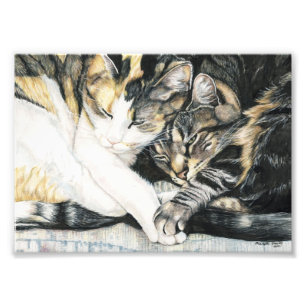 Katzen-Umarmungs-Kunst-Druck Fotodruck