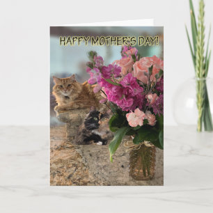 Katzen und Blumen für Muttertags-Karte Karte
