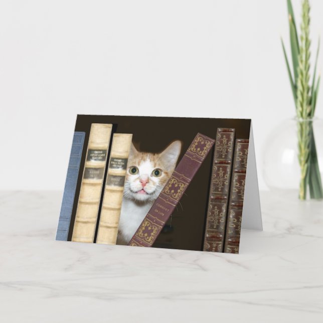 Katzen und Bücher Karte (Vorderseite)