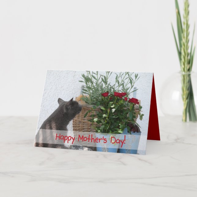 Katzen-und der Rosen-glücklicher Mutter Tag! Karte (Vorderseite)