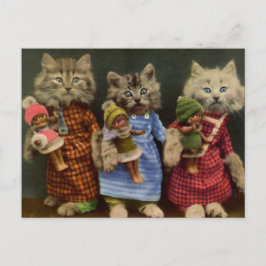 Katzen und Dollars Postkarte