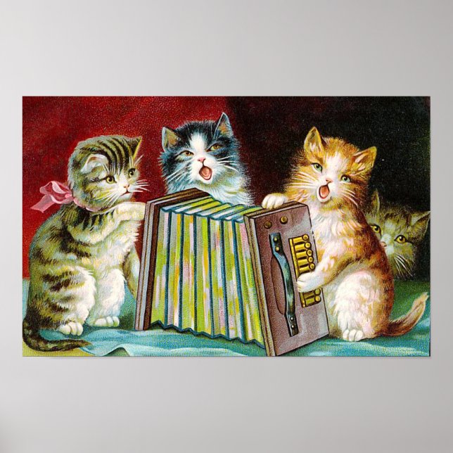 "Katzen und eine Squeezebox" Poster (Vorne)