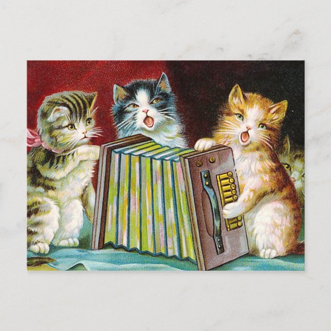 "Katzen und eine Squeezebox" Postkarte (Vorderseite)
