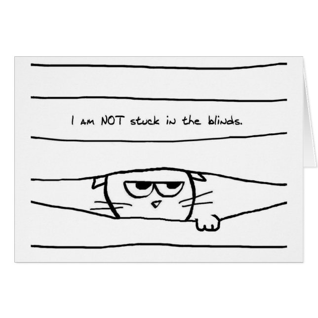 Katzen und Fenstervorhänge - lustige Katzen-Karte (Vorderseite (Horizontal))