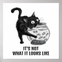 Katzen und Fische