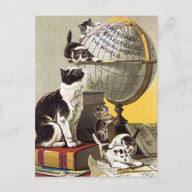 Katzen und Globe Postkarte (Vorderseite)